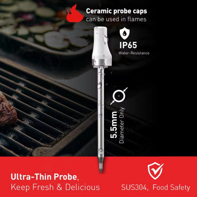 Wireless Bluetooth Smart Meat  - Meat Thermometer Camp review and price
